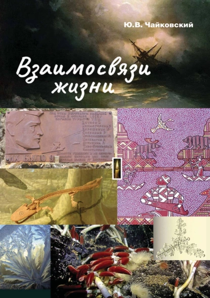 Обложка книги Взаимосвязи жизни. Миниэнциклопедия дополняет. Том 1. А – П, Ю. В. Чайковский