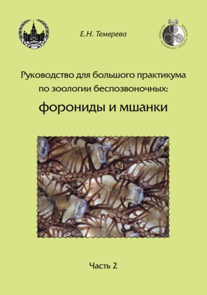 Обложка книги Руководство для большого практикума по зоологии беспозвоночных: форониды и мшанки. Часть 2, Е. Н. Темерева