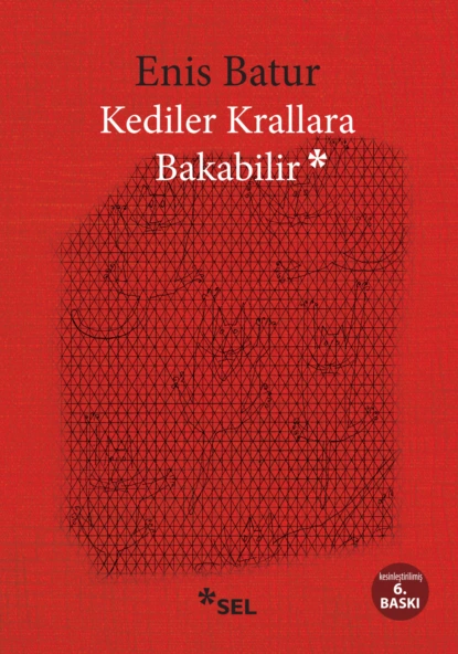 Обложка книги Kediler Krallara Bakabilir, Enis Batur