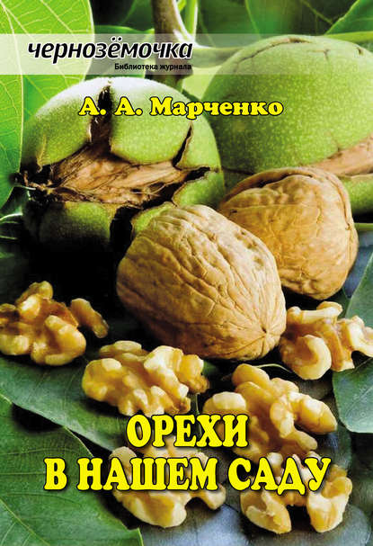 А. А.Марченко — Орехи в нашем саду
