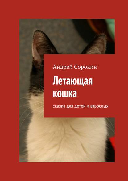 Андрей Сорокин — Летающая кошка. Сказка для детей и взрослых