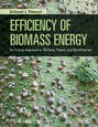 Efficiency of Biomass Energy