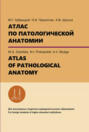 Атлас по патологической анатомии. ATLAS OF PATHOLOGICAL ANATOMY