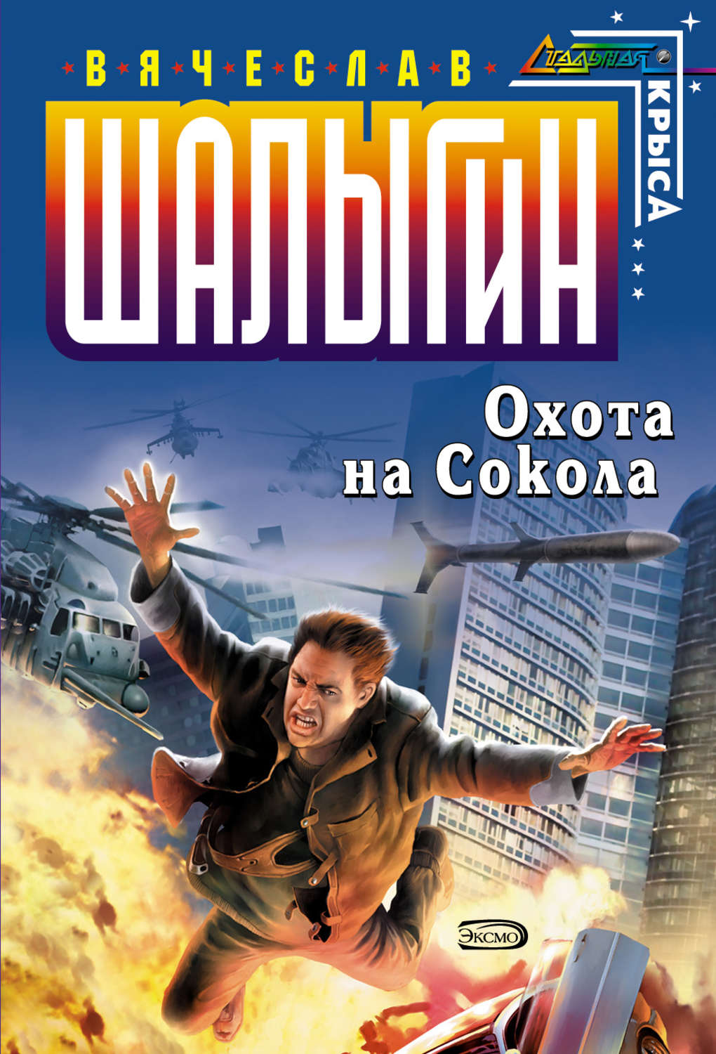 Сокол аудиокнига слушать. Шалыгин Сокол 1. Охота на Сокола Шалыгин Вячеслав Владимирович книга. Шалыгин в.в. 