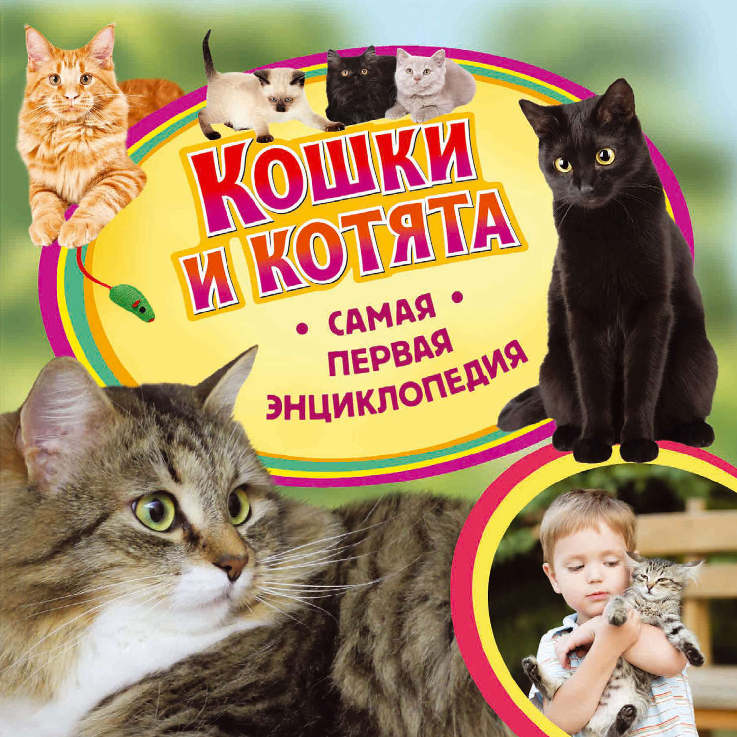 Книги о кошках. Энциклопедия Росмэн «кошки и котята. Первая энциклопедия» 3+. Первая энциклопедия кошки и котята Росмэн. Книги про кошек для детей. Книги о кошках Художественные.