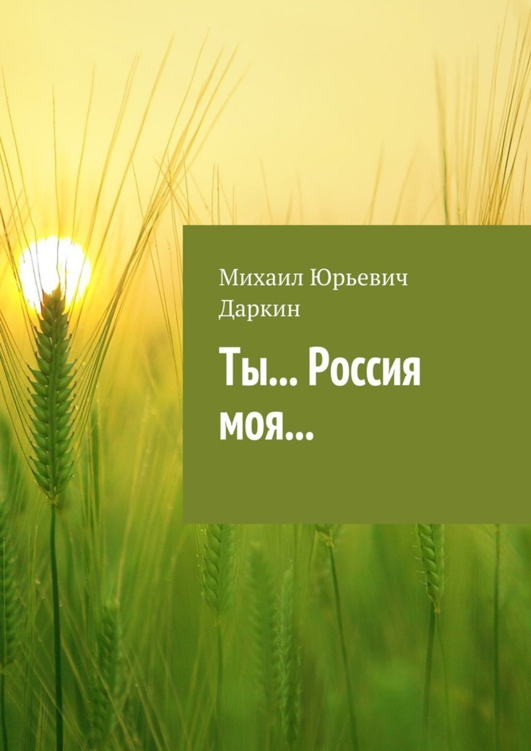 Даркина анна книги
