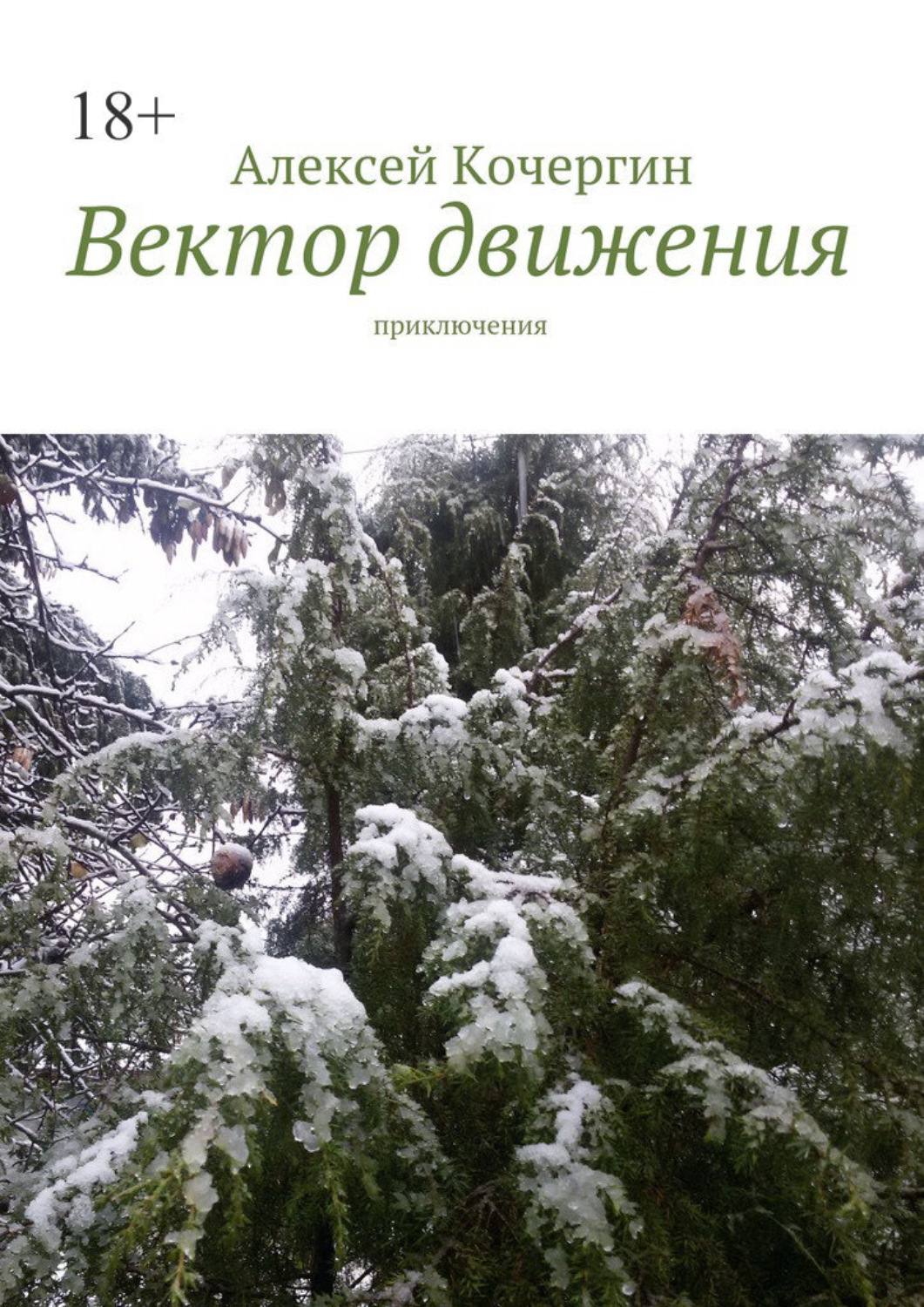 Приключения алексея. Алексей Кочергин вектор движения.