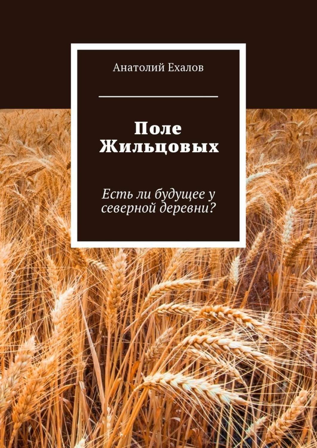 Книгу поли. Ехалов Анатолий Константинович книги. Поля в книге. Книжные поля. Поле Жильцовых. Есть ли будущее у Северной деревни книга.