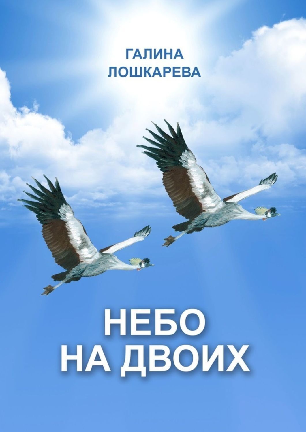 Небо на двоих. Небо на двоих книга. Роман небо на двоих. Обложка книги одно небо на двоих. Страницы книги с небом.