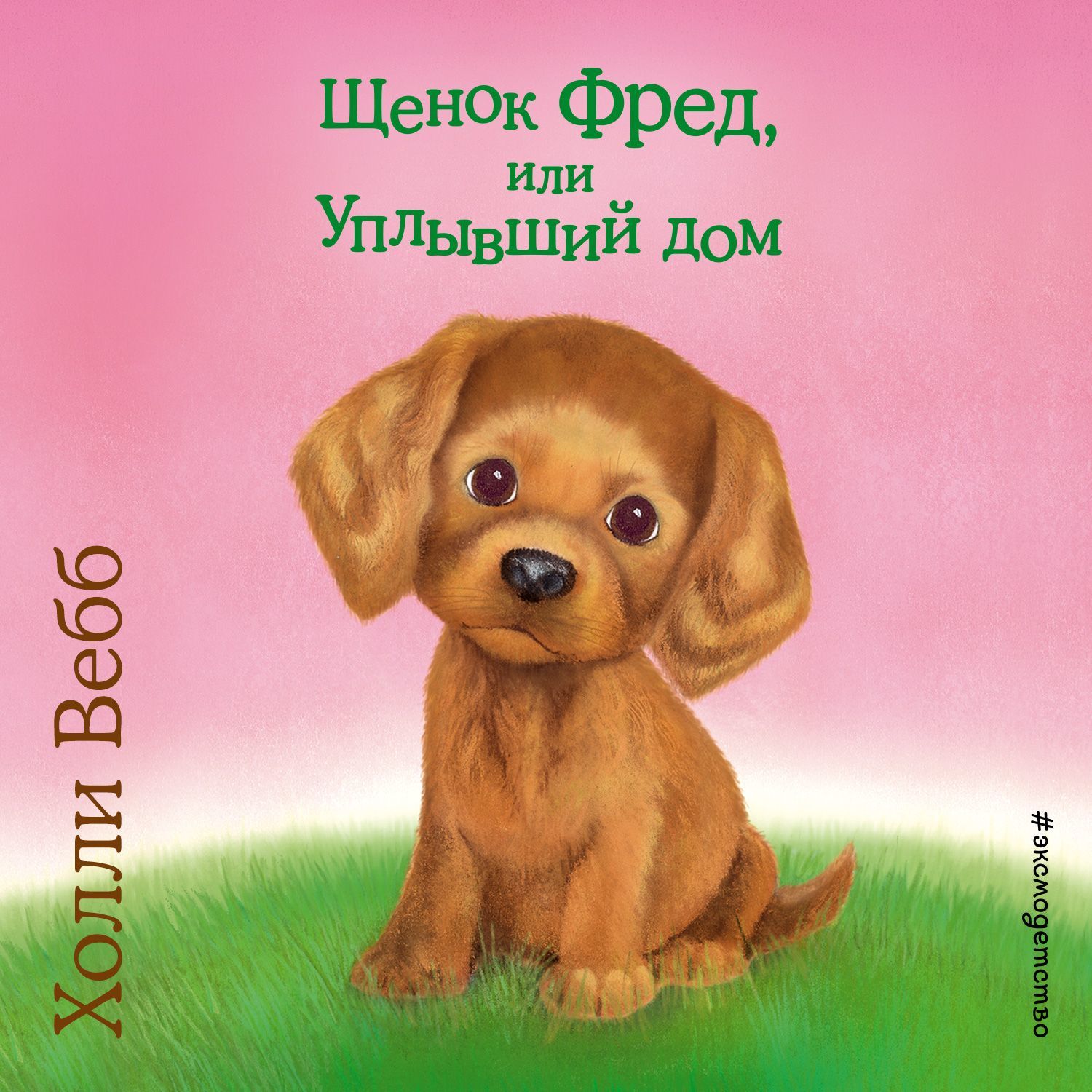 Холли Вебб, Щенок Фред, или Уплывший дом – слушать онлайн бесплатно или  скачать аудиокнигу в mp3 (МП3), издательство Эксмо