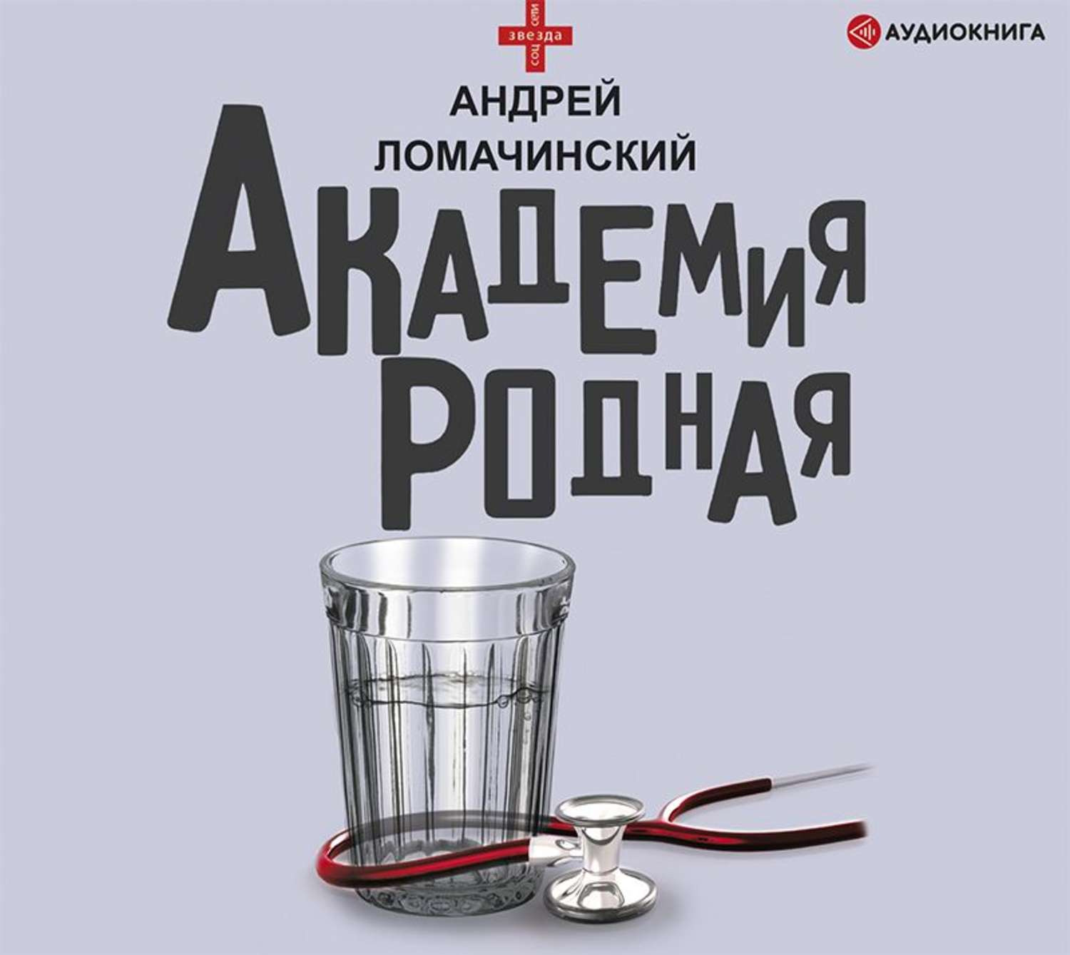 Родственники андрея. «Академия родная» Андрей Ломачинский. Академия родная Андрей Ломачинский книга. Ломачинский Андрей Анатольевич. Андрей Ломачинский Академия родная аудиокнига.