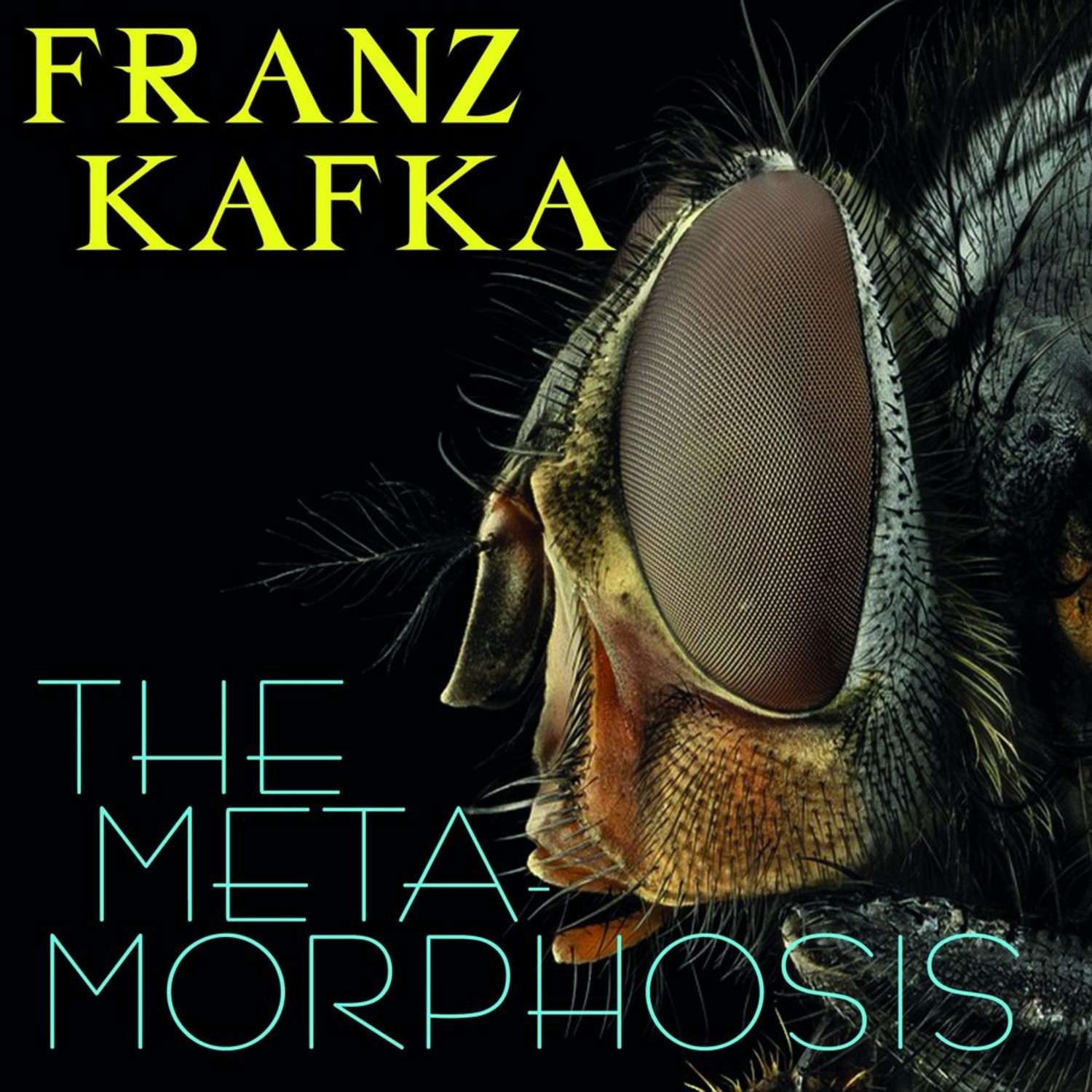 Аудиокнига метаморфозы. Franz Kafka Metamorphosis. The Metamorphosis by Franz Kafka. Die Verwandlung. Franz Kafka.