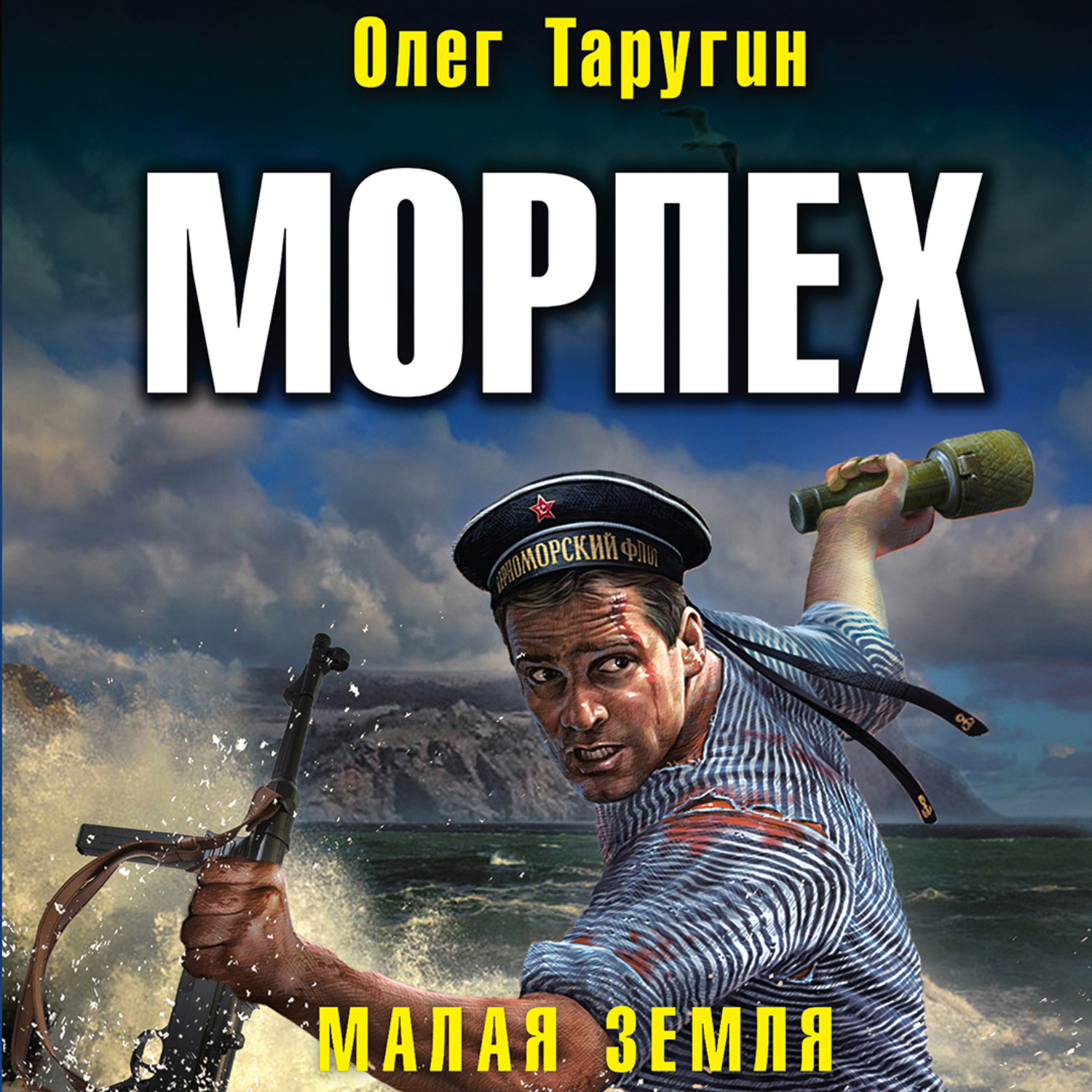 Мир аудиокниги морпех. Олег Таругин морпех. Малая земля Олег Таругин. Олег Витальевич Таругин. Таругин Олег – морпех 2, малая земля.