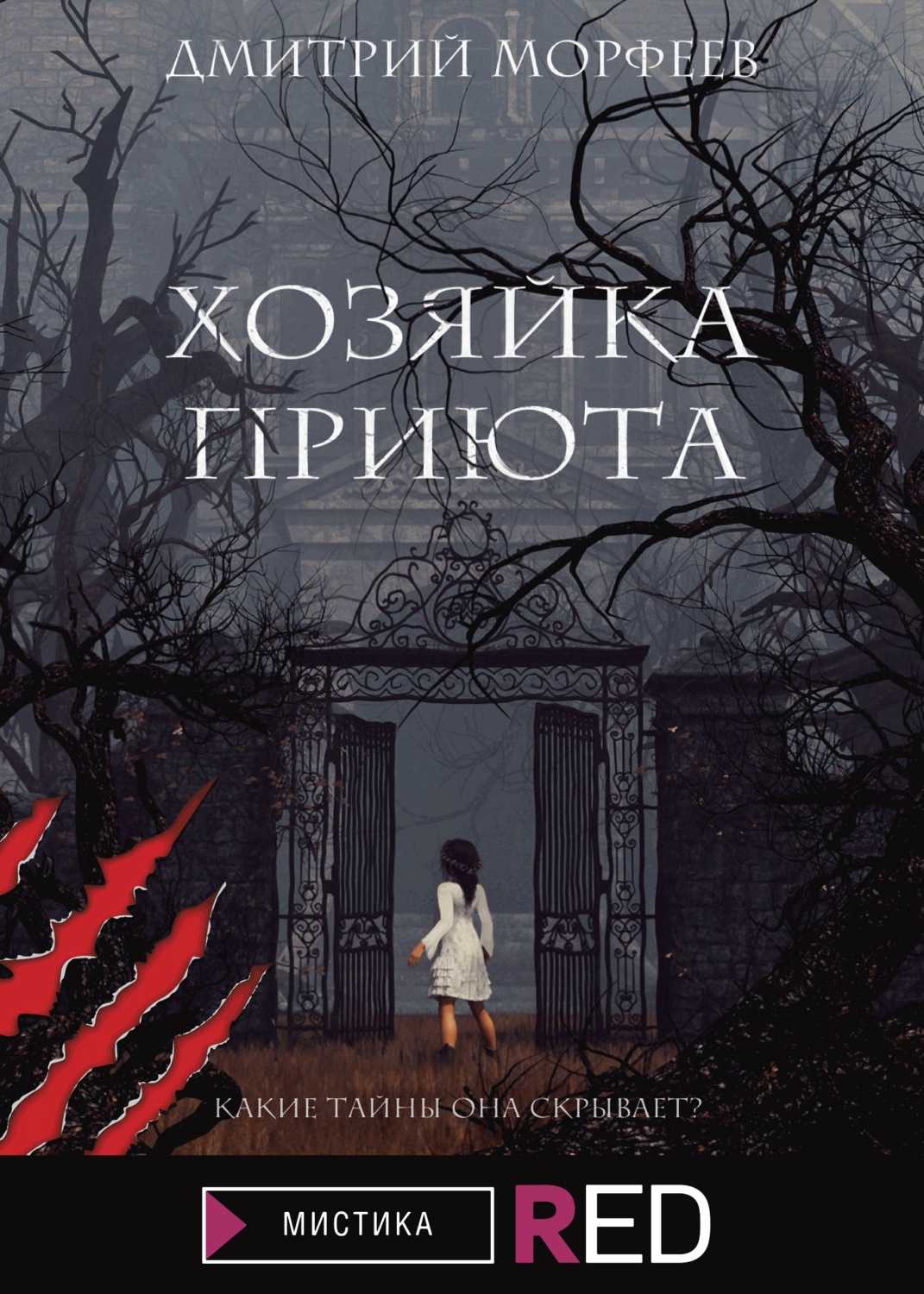 Приют читать полностью. Хозяйка приюта. Книги для подростков мистика. Хозяйка книга. Хозяйка приюта дрэгонвилль.