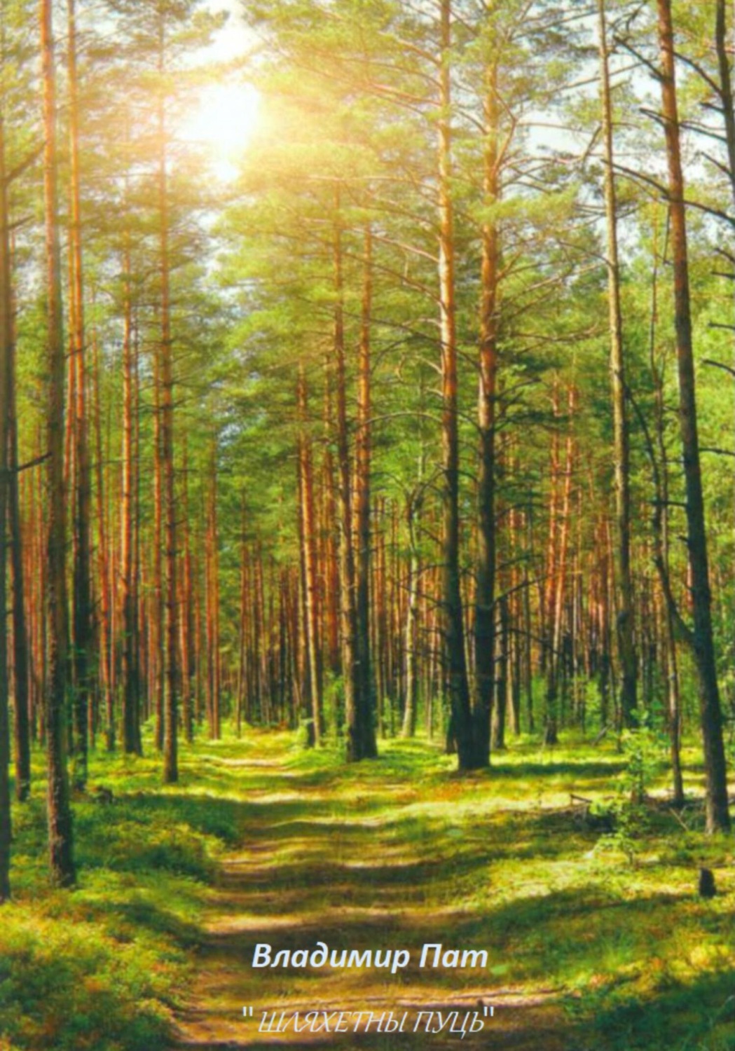 Белоруссия природа на лесу