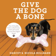 Give the Dog a Bone: Over 40 healthy home-cooked treats, meals and snacks for your four-legged friend