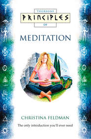 Meditation: The only introduction you’ll ever need