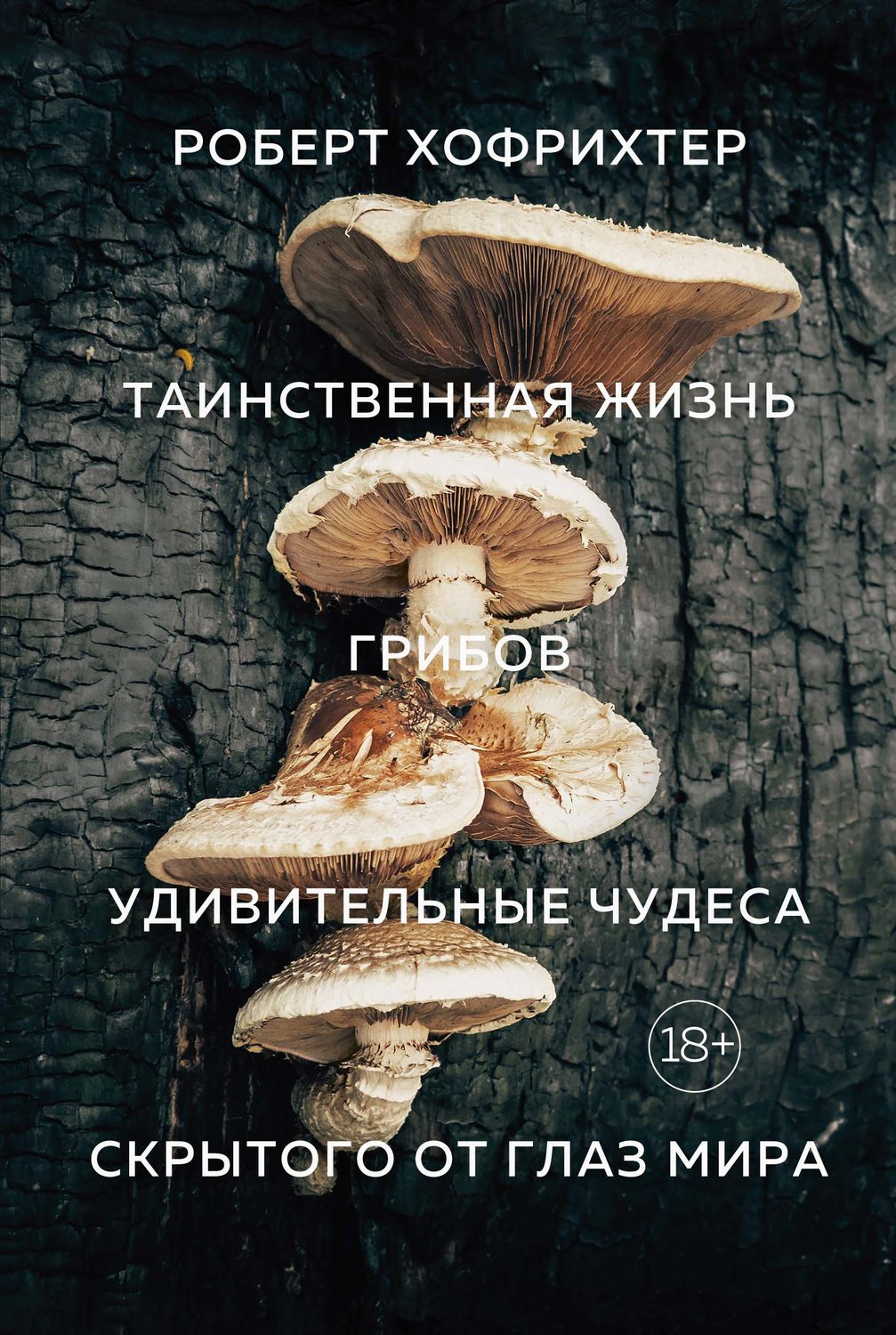 Грибы По Фото Определить Онлайн Яндекс