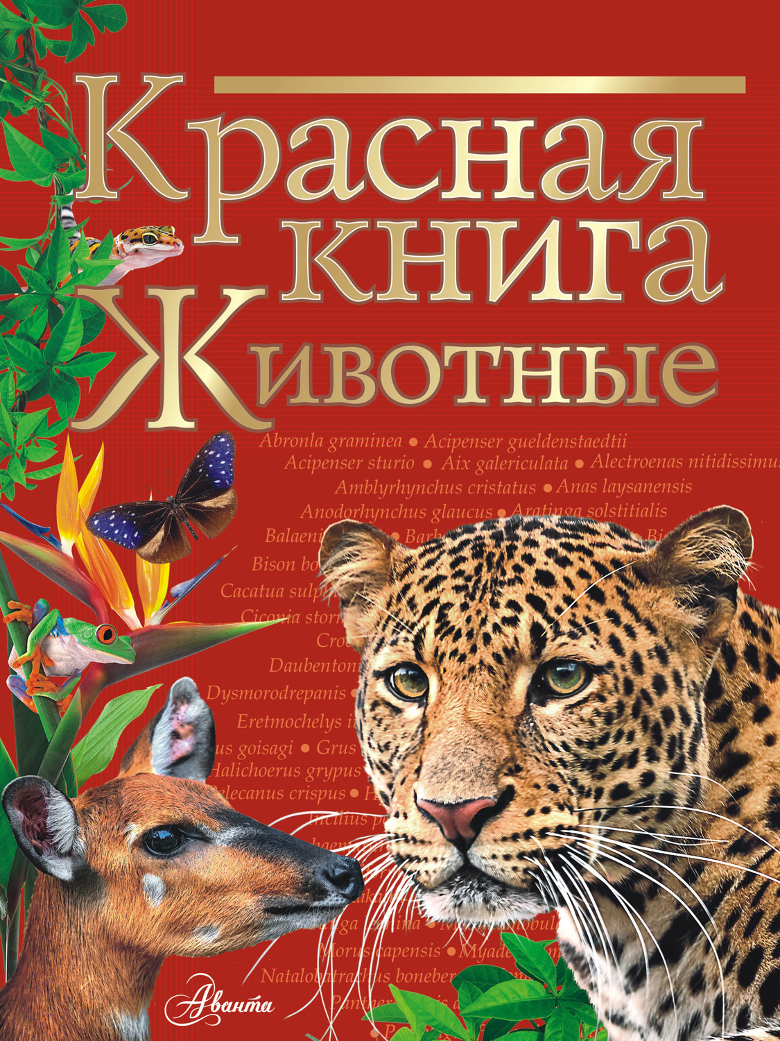 Красная Книга Животные Мира Фото И Название